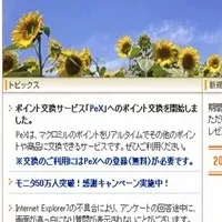 ポイントカード実態調査