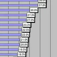 2007年流行調査