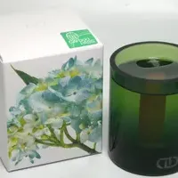 CO2排出権付与開始