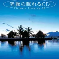 眠れない夜の相手