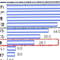 ニキビと乾燥の意識調査