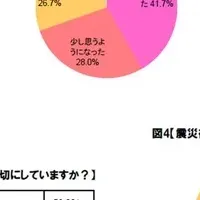 震災後の食生活