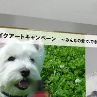 愛犬との思い出が大集合