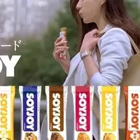 井川遥とSOYJOY