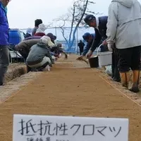 海岸林再生の挑戦