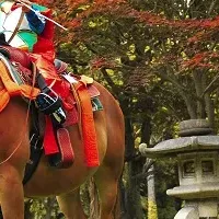 青森屋の流鏑馬