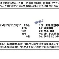 2012年の言葉と政治