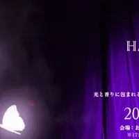 屋外ホログラフィックイベント