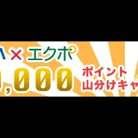 ヤマダ電機お得情報