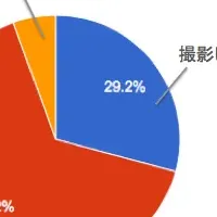 広告ポスター写メの実態調査