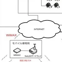 光の祭典、名古屋