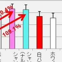 香りで変わる女性の印象