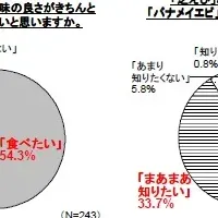 食べ比べセット登場