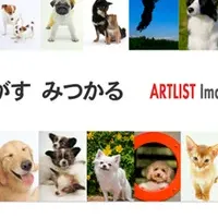 ARTLIST Images始動