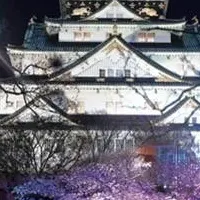 大阪城夜桜イルミナージュ