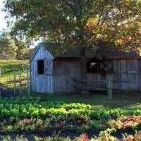 ファーム・トゥ・テーブル