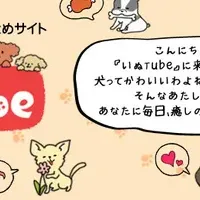 犬動画の新星『いぬTube』