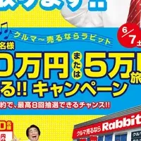 ラビット高額査定