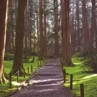 朝礼の見直し急増