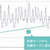 トリンプの涼音楽