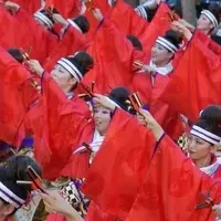 高知のよさこい祭り