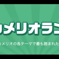 「カメリオランキング」登場