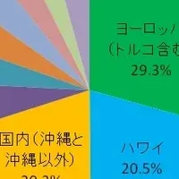 新婚旅行トレンド調査