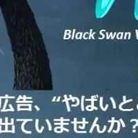 『Black Swan Verification』発表