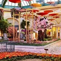 日本文化を祝う