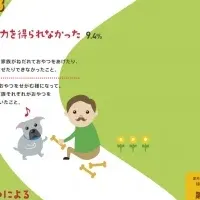 愛犬ダイエット成功の秘訣