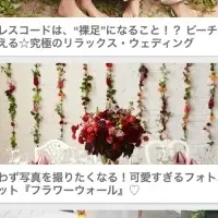 スマホで結婚準備