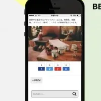 テレビCMとスマホ動画広告