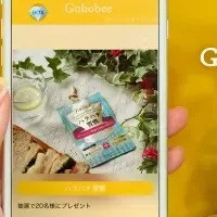 GohobeeでプレゼントCP開始！