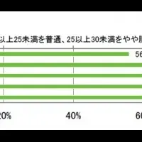 野菜摂取と健康