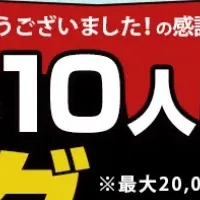 夢展望の年末キャンペーン