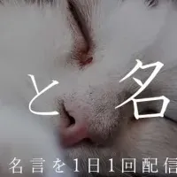 猫と名言サービス