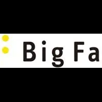 BIG FACEの資金調達