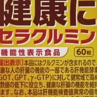 肝臓への新提案