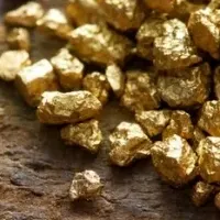 WhiteFoxの新戦略