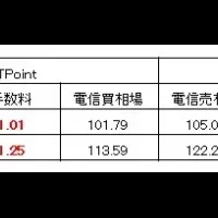 ビットコイン多通貨決済