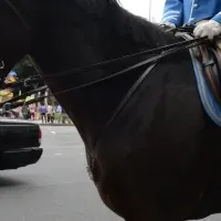 青山まつりスポーツパレード