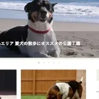 DogHuggy Magazine誕生