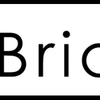 Bridgeの増資と展望