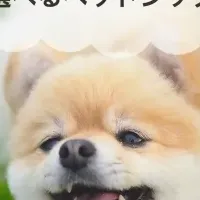 保護犬支援サービス