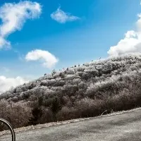 自転車試乗宅配サービス