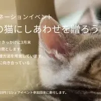 猫の日ドネーション