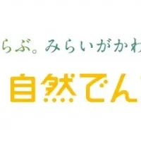 電力自由化から1年