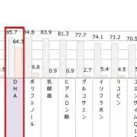 受験生とDHAの関係