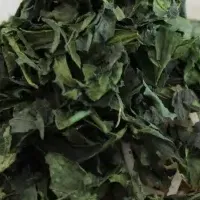 碾茶担々麺新登場