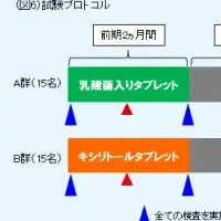 乳酸菌の効果